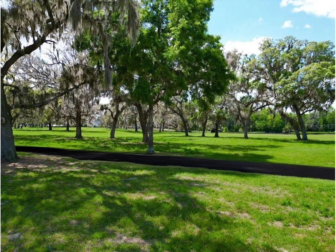 Tbd Se 115th St Belleview FL 34420 R4911336 image8