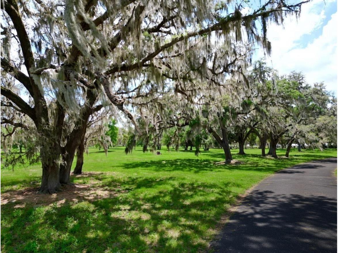 Tbd Se 115th St Belleview FL 34420 R4911336 image9