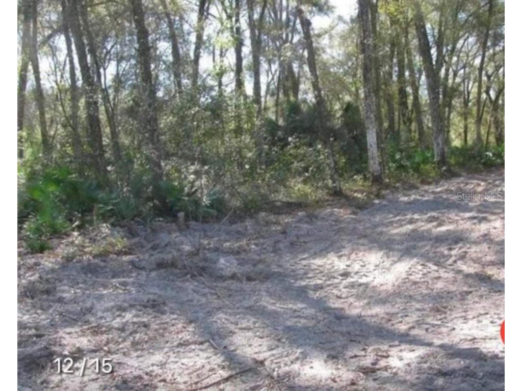 Tbd Se 143rd Pl Lot 12 Summerfield FL 34491 O6129163 image1