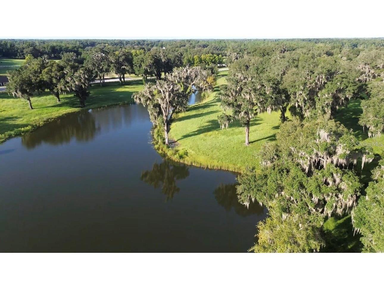 Tbd Se 157th Street Rd Summerfield FL 34491 OM704476 image1