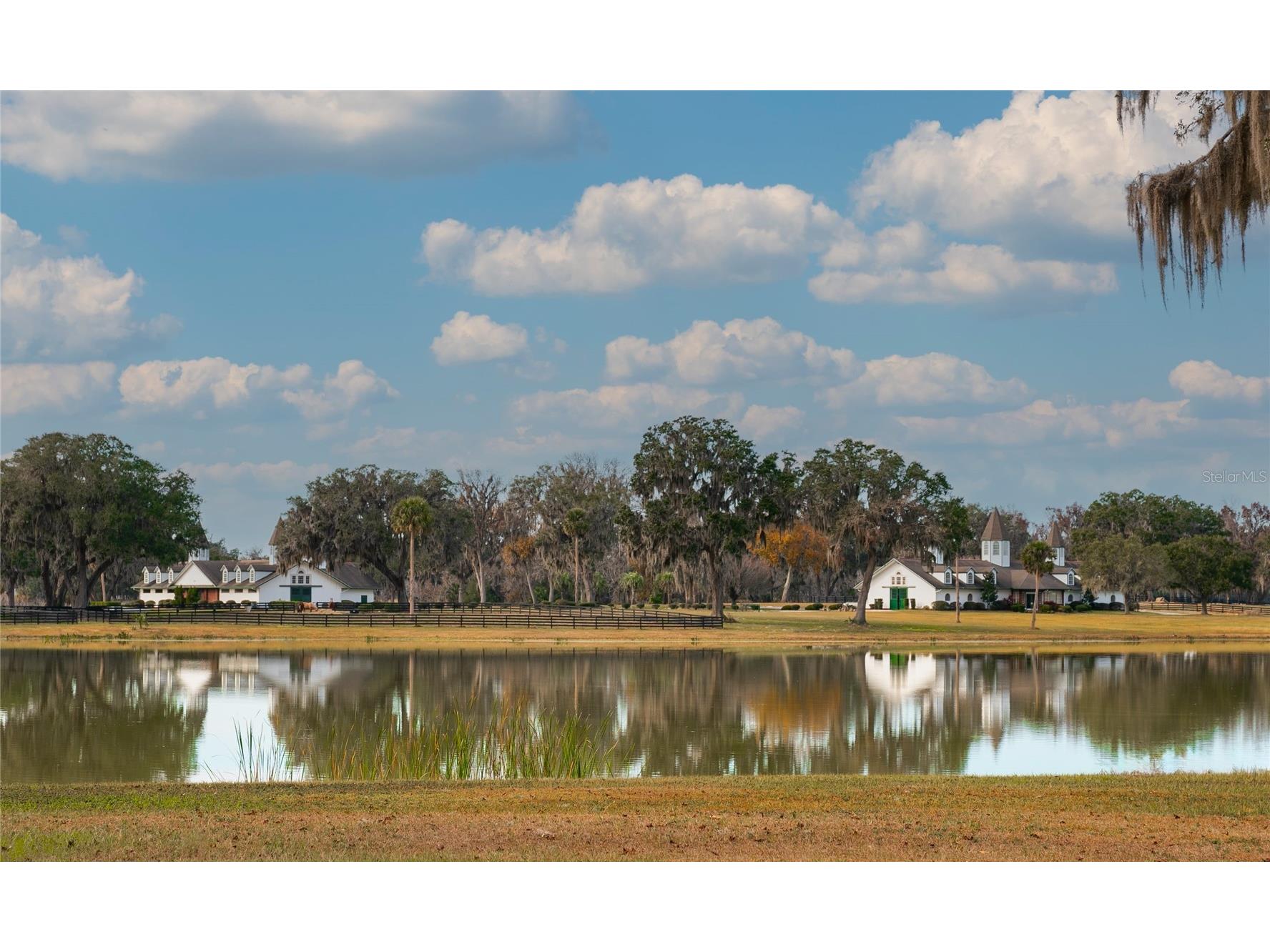 Tbd Se 157th Street Rd Summerfield FL 34491 OM704476 image13