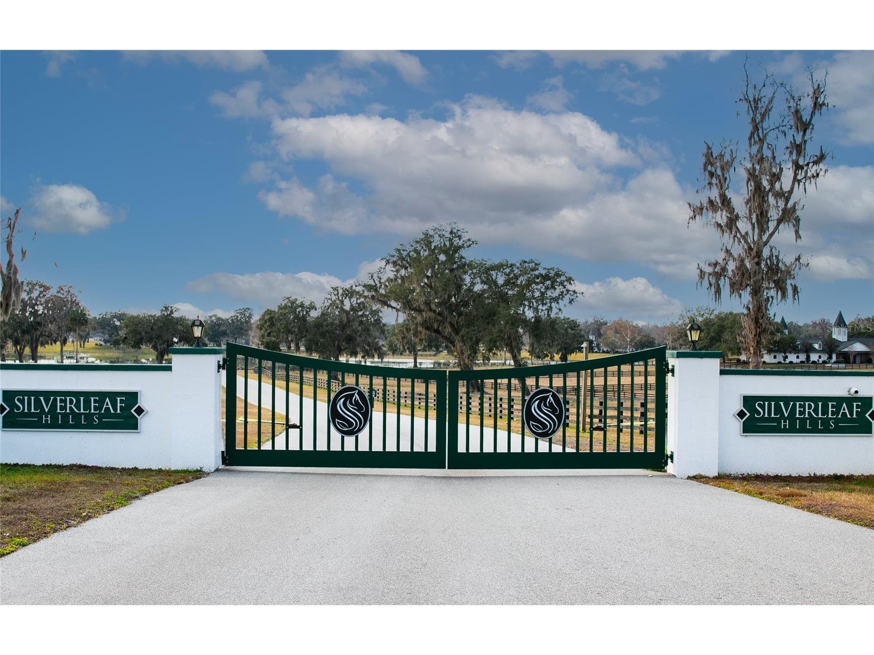 Tbd Se 157th Street Rd Summerfield FL 34491 OM704476 image14