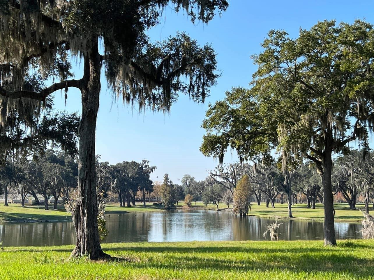 Tbd Se 157th Street Rd Summerfield FL 34491 OM704476 image2