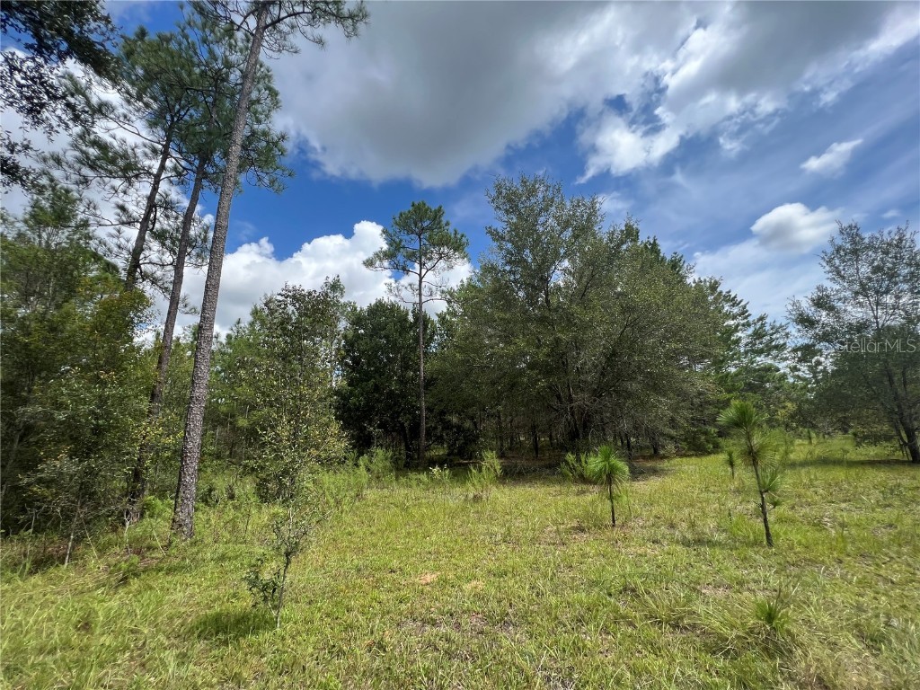 Tbd Se 160th Avenue Morriston FL 32668 OM664882 image1