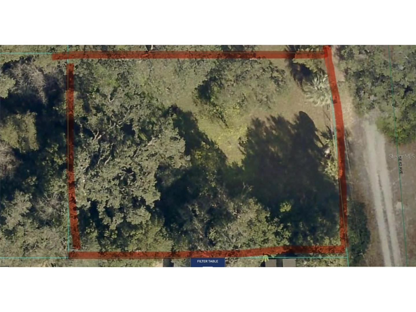 Tbd Se 62nd Ave Belleview FL 34420 OM709205 image3