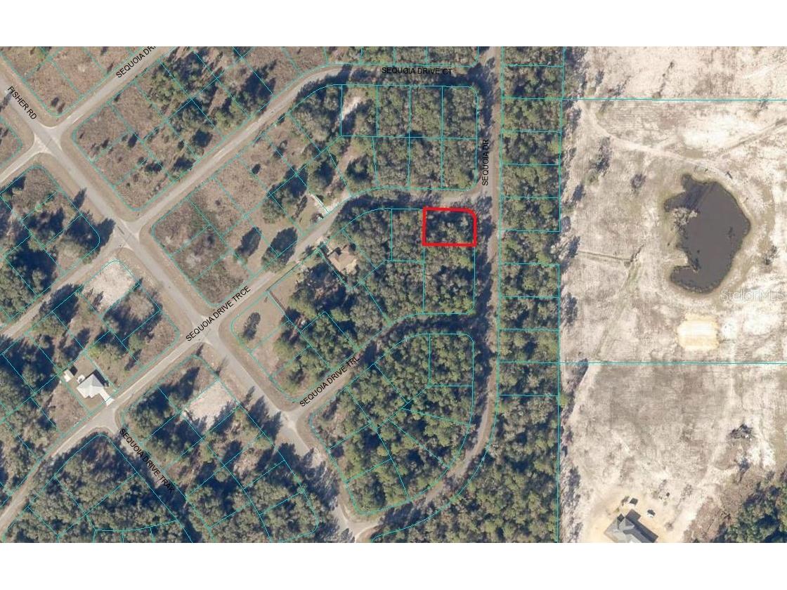 Tbd Sequoia Drive Trace Ocklawaha FL 32179 OM662882 image1