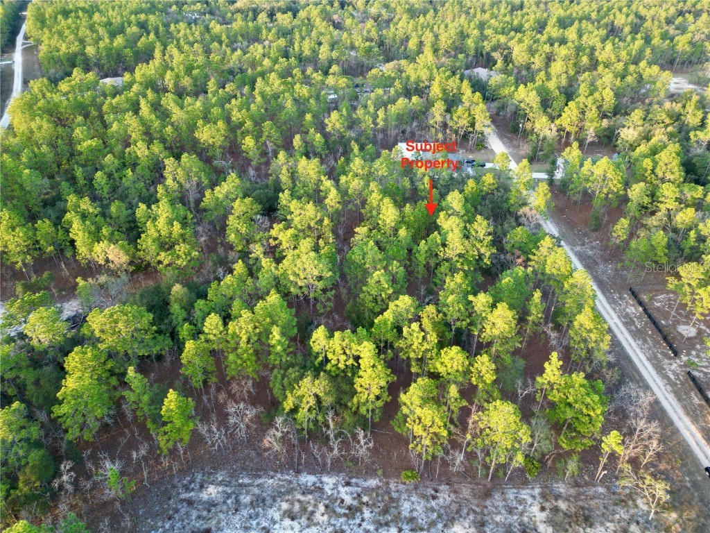 Tbd Sw 124th Terrace Road Ocala FL 34481 OM692217 image10