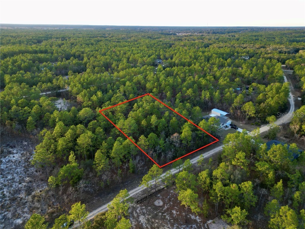 Tbd Sw 124th Terrace Road Ocala FL 34481 OM692217 image3