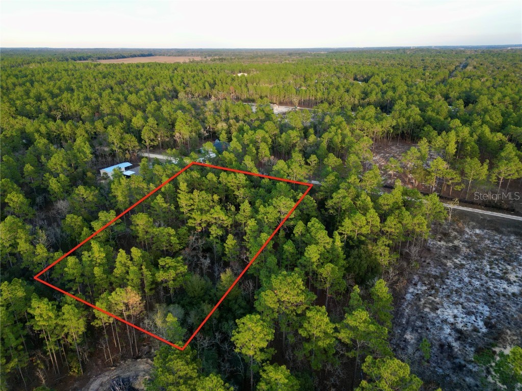 Tbd Sw 124th Terrace Road Ocala FL 34481 OM692217 image4