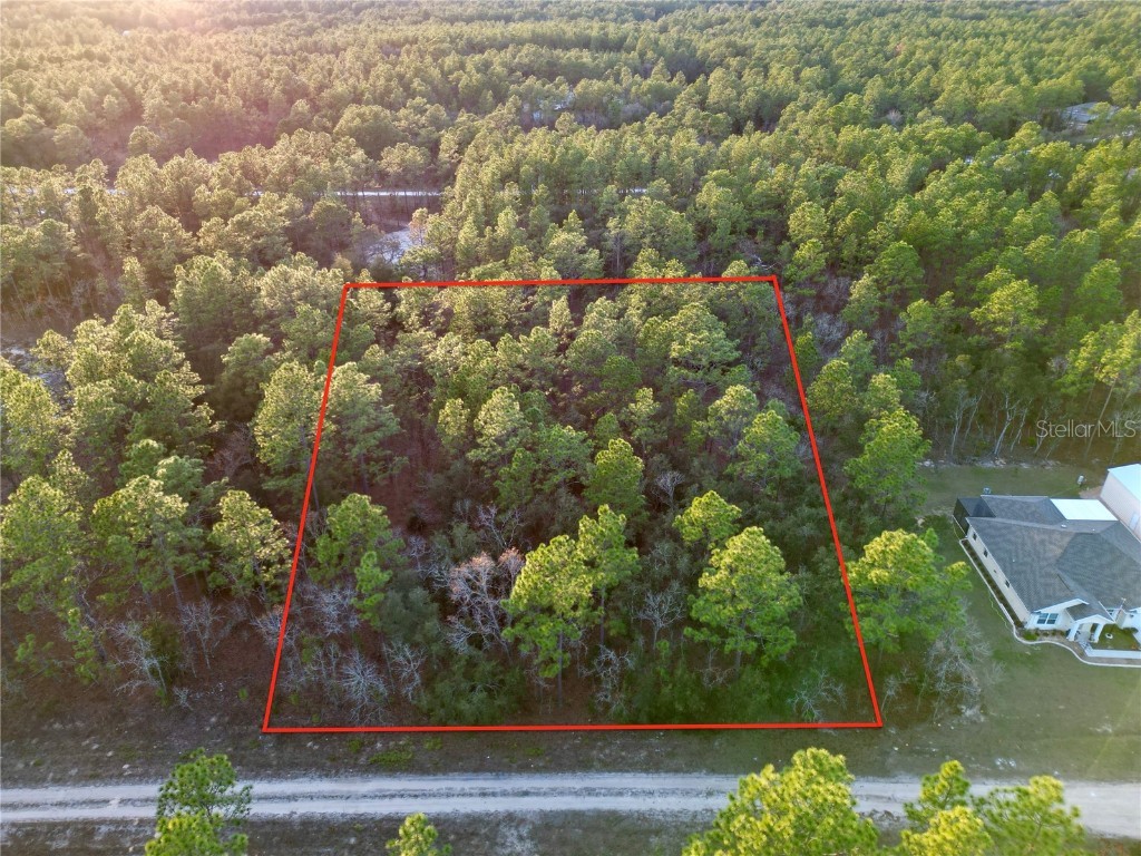 Tbd Sw 124th Terrace Road Ocala FL 34481 OM692217 image5