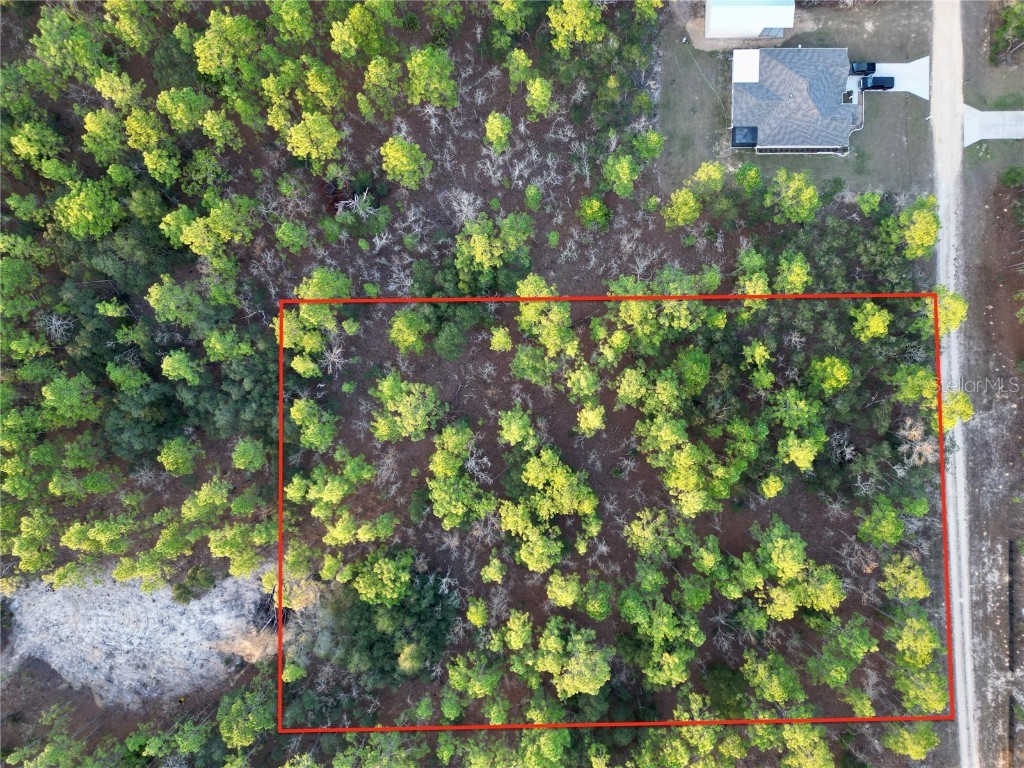 Tbd Sw 124th Terrace Road Ocala FL 34481 OM692217 image7