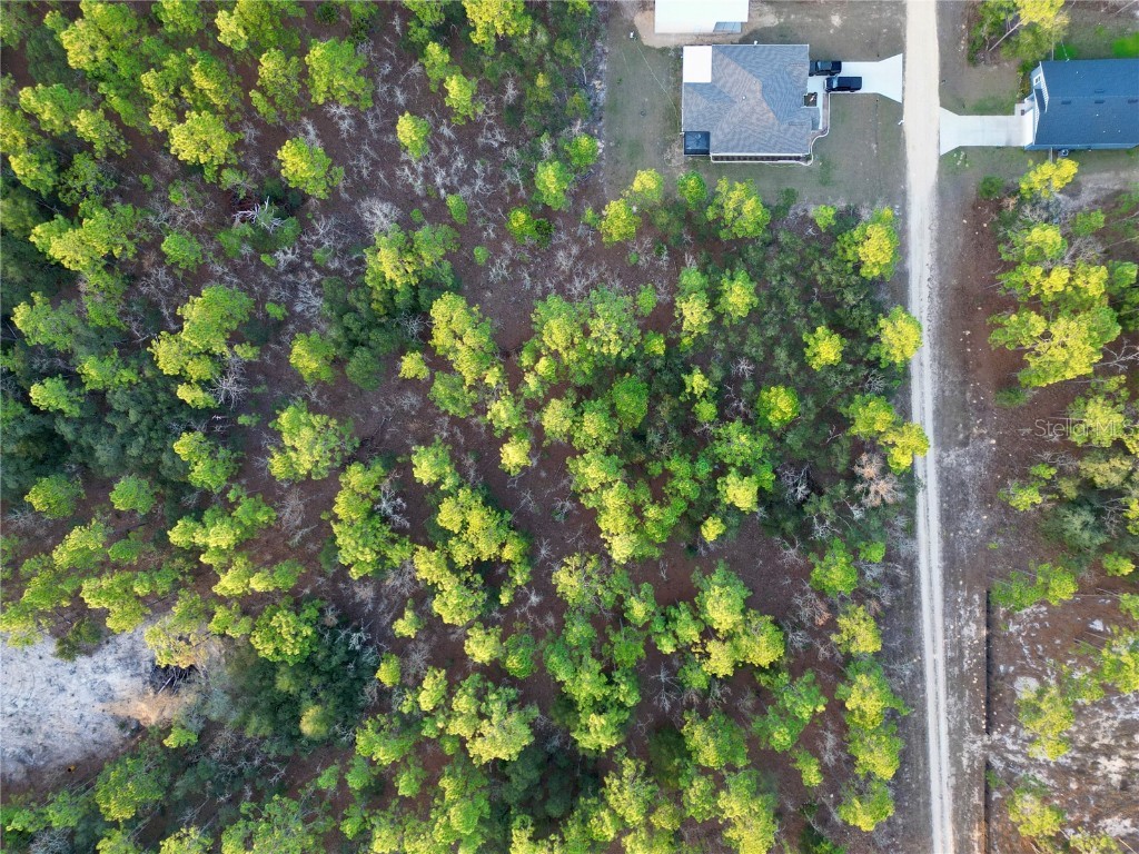 Tbd Sw 124th Terrace Road Ocala FL 34481 OM692217 image9