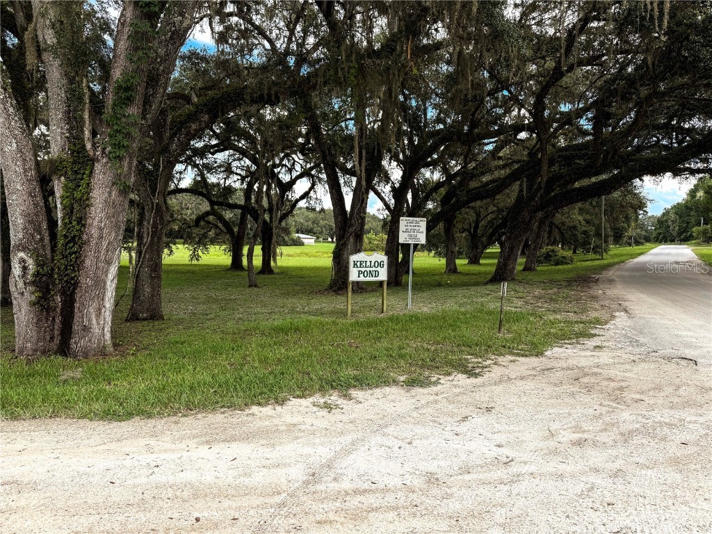 Tbd Sw 134 Ter Dunnellon FL 34432 OM707464 image17