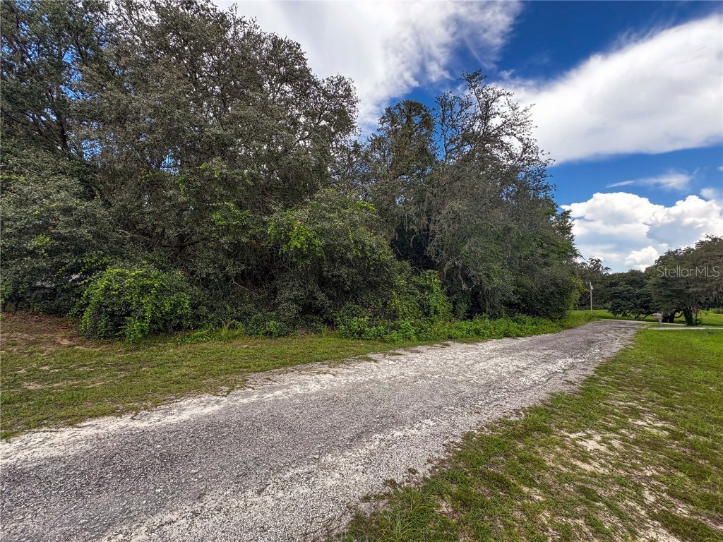 Tbd Sw 134 Ter Dunnellon FL 34432 OM707464 image2