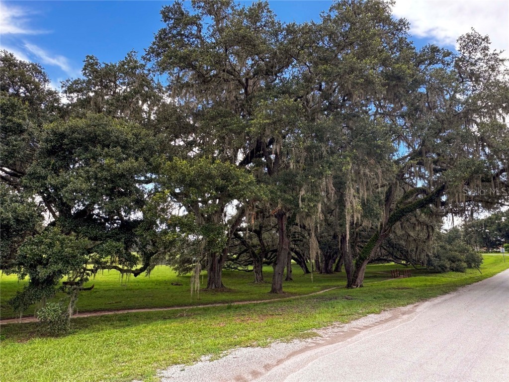 Tbd Sw 134 Ter Dunnellon FL 34432 OM707464 image20