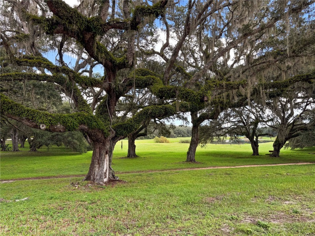 Tbd Sw 134 Ter Dunnellon FL 34432 OM707464 image21