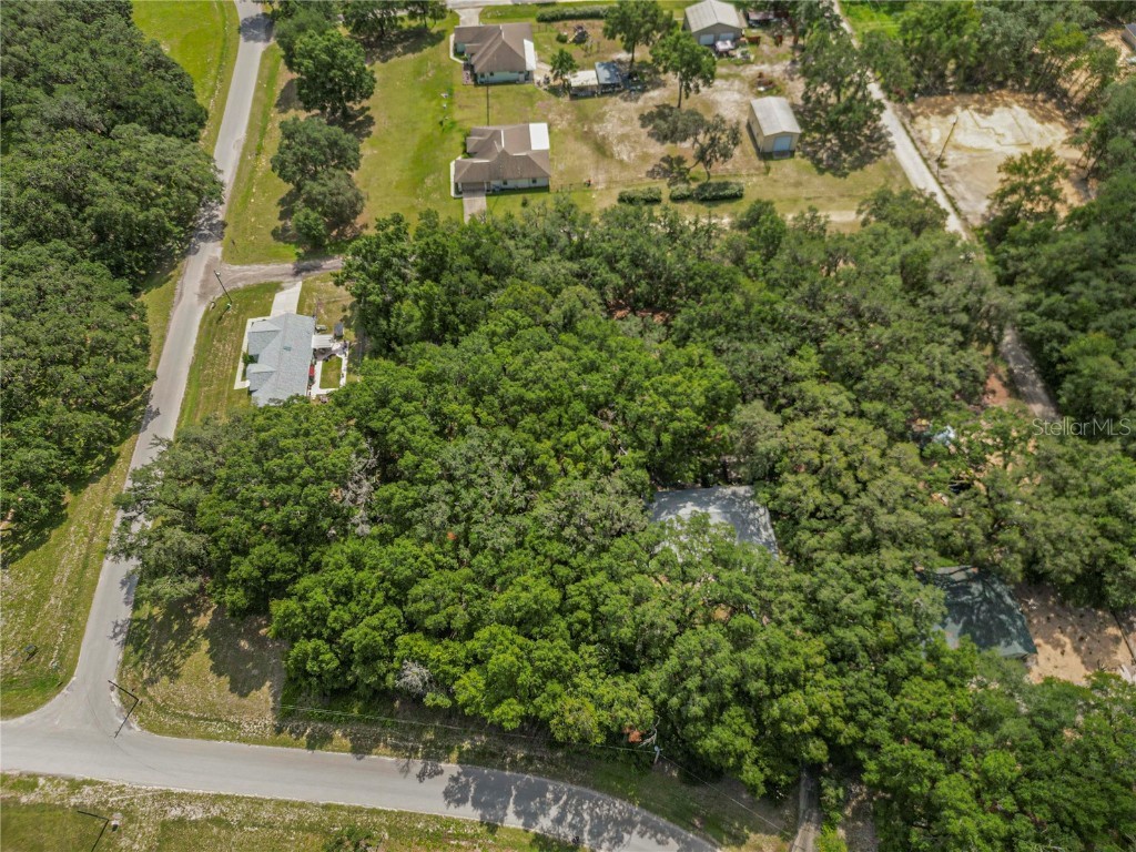 Tbd Sw 134 Ter Dunnellon FL 34432 OM707464 image5