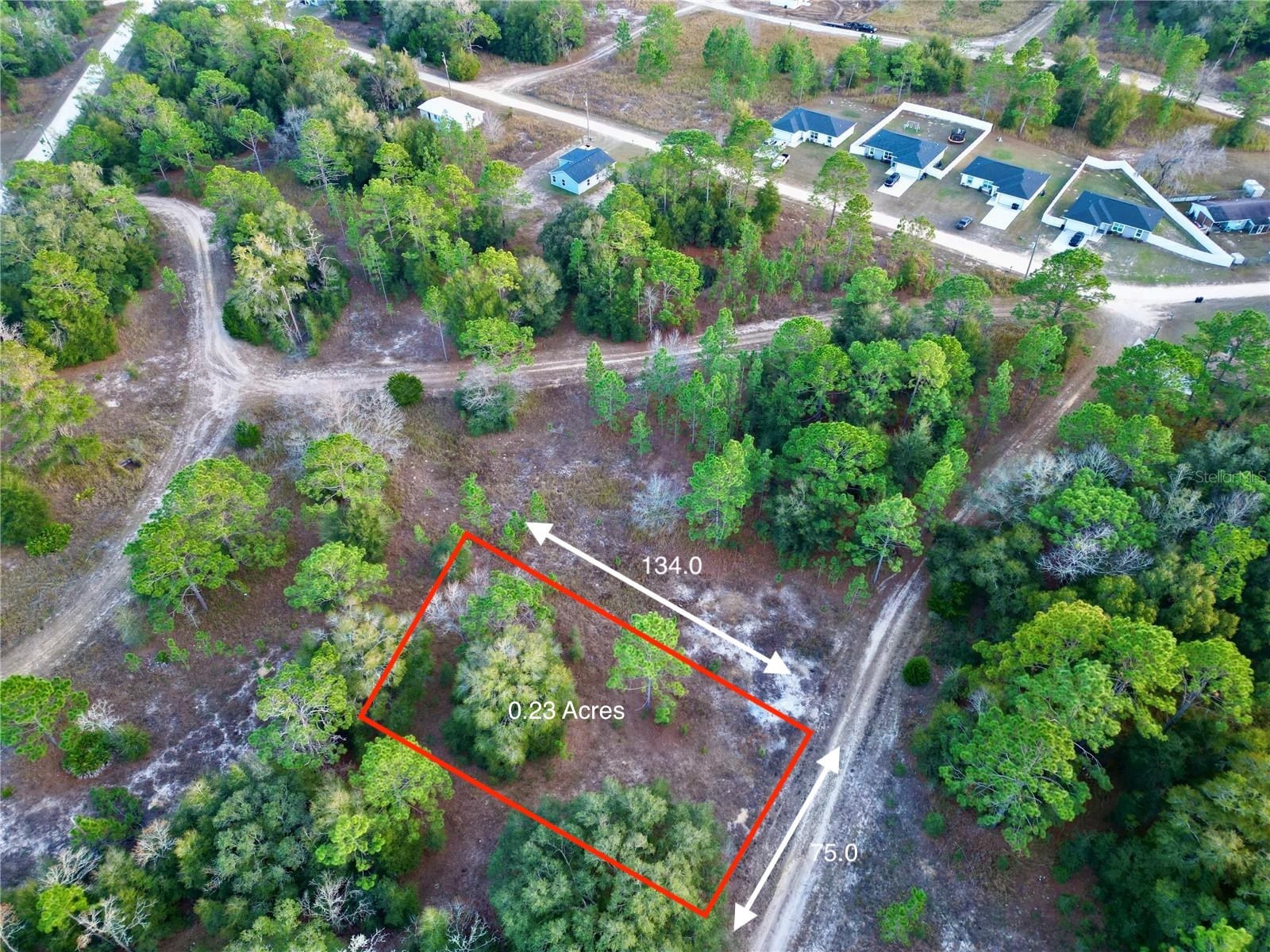 Tbd Sw 145th Ct Ocala FL 34482 OM725503 image2
