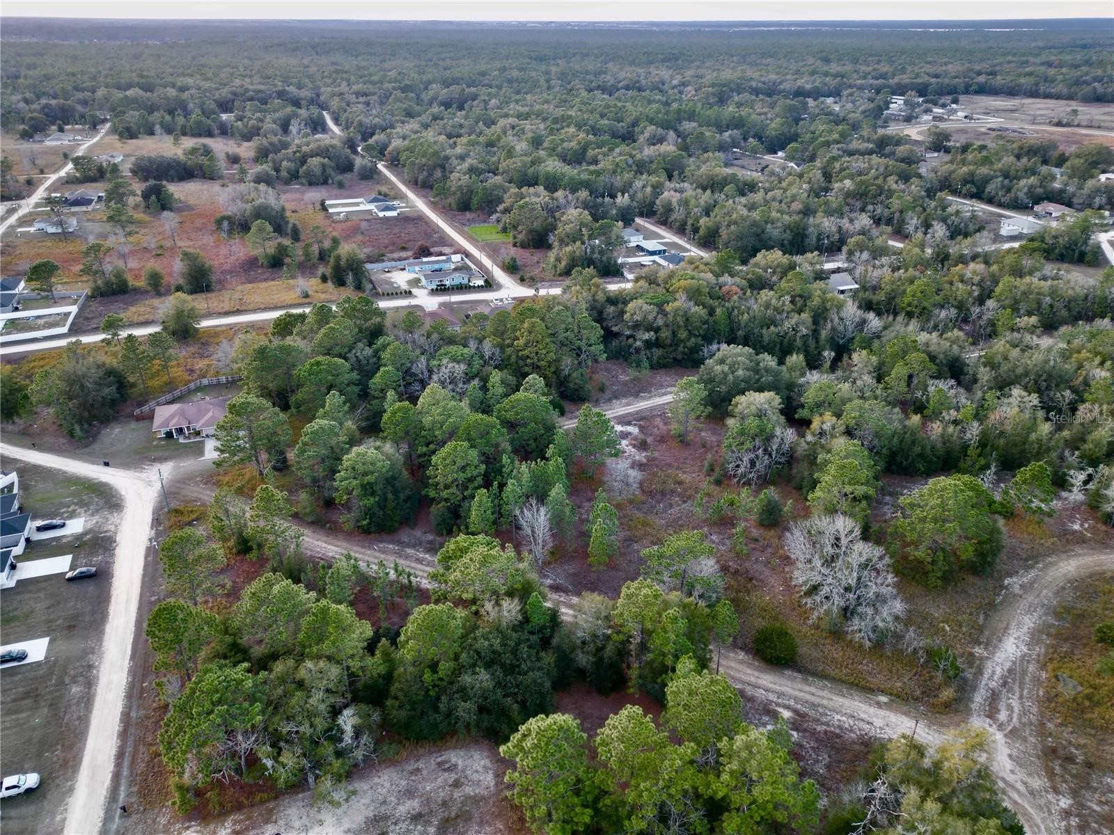 Tbd Sw 145th Ct Ocala FL 34482 OM725503 image4