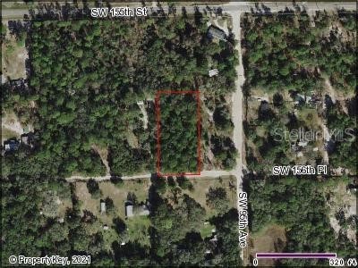Tbd Sw 156 Place Dunnellon FL 34432 T3523584 image1