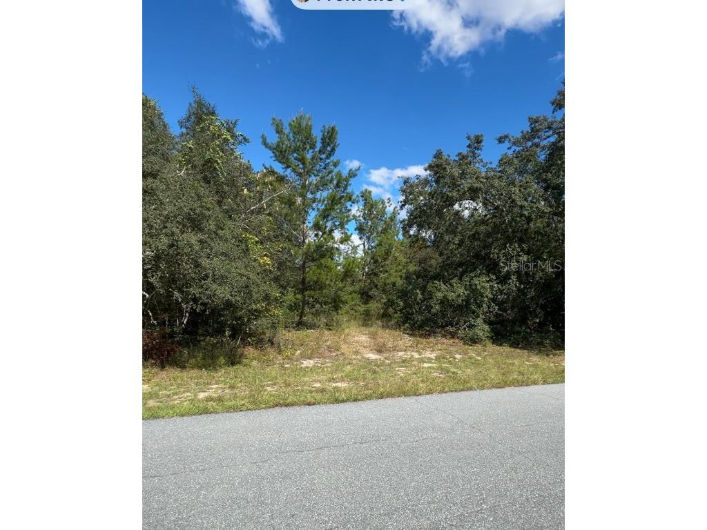 Tbd Sw 166th Street Ocala FL 34473 OM713769 image1