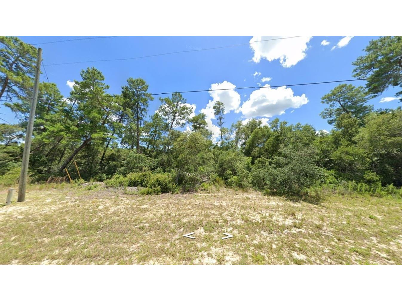 Tbd Sw 167th Ln Ocala FL 34473 OM686705 image1