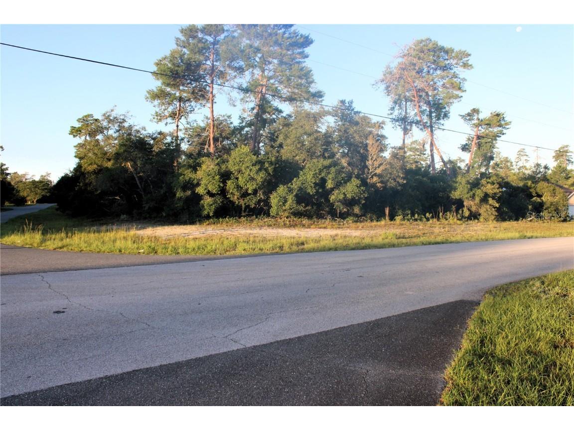 Tbd Sw 176th Loop Ocala FL 34473 GC523218 image1