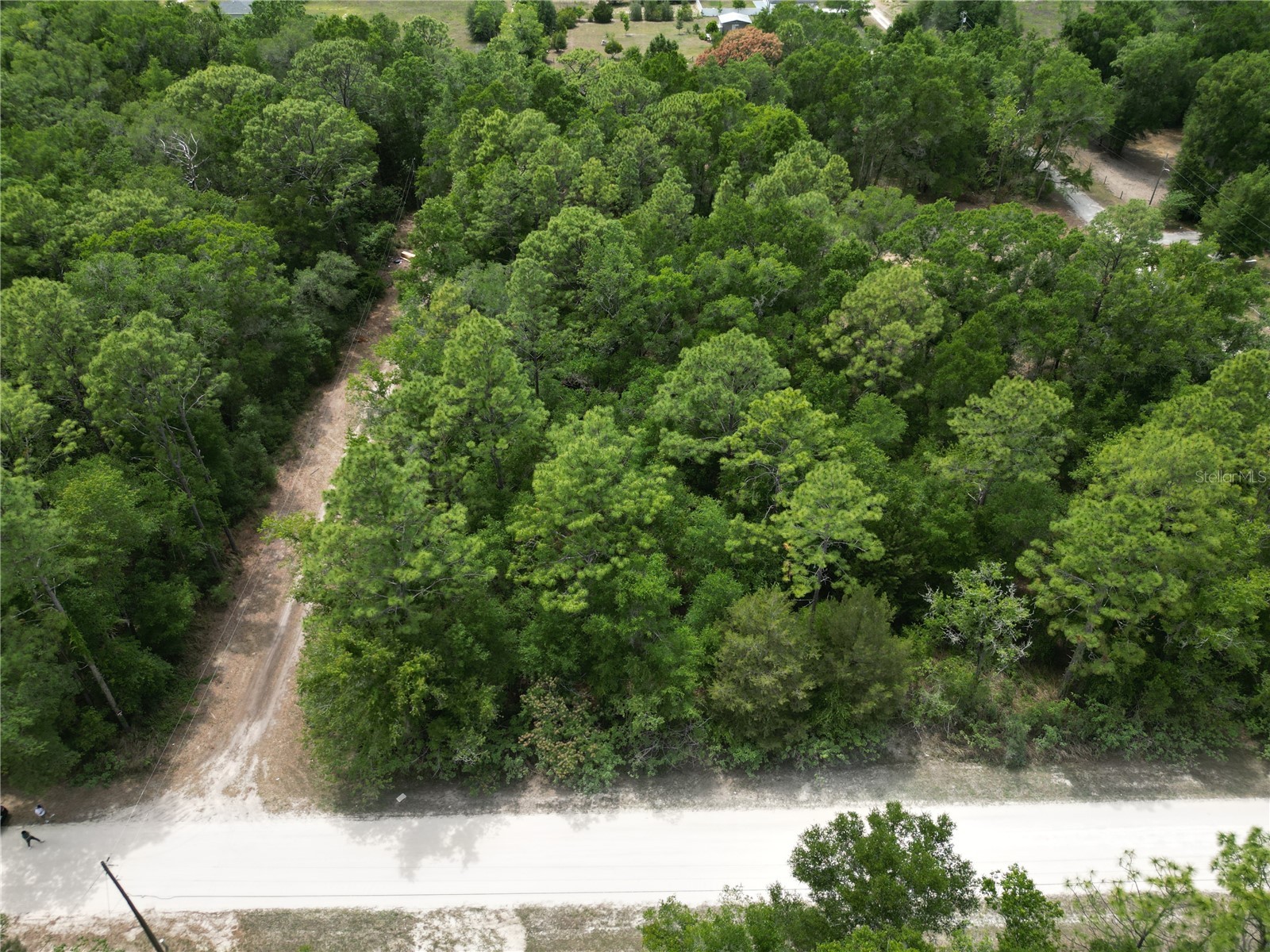 Tbd Sw 31st Pl Ocala FL 34481 OM724534 image2