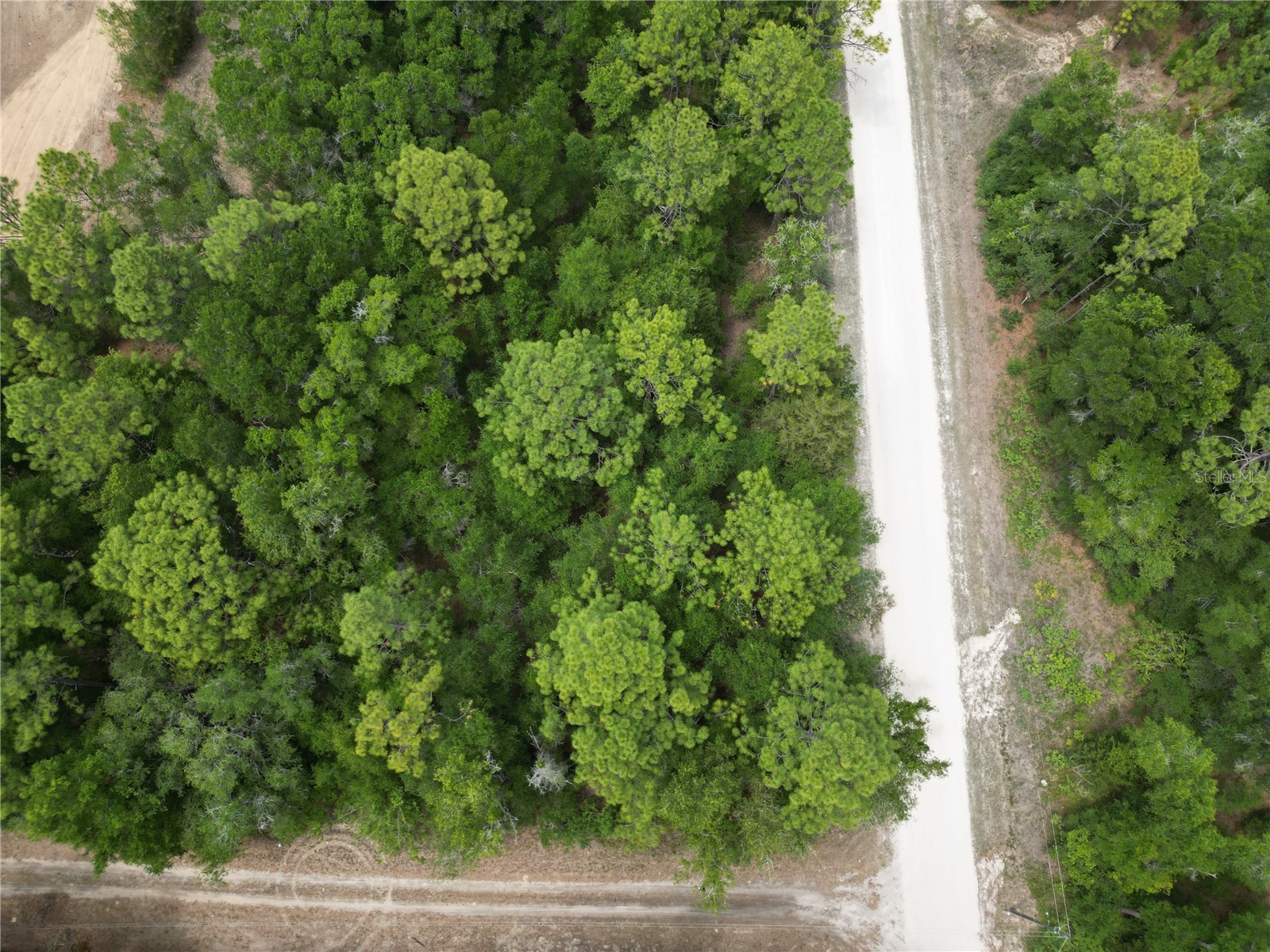 Tbd Sw 31st Pl Ocala FL 34481 OM724534 image5