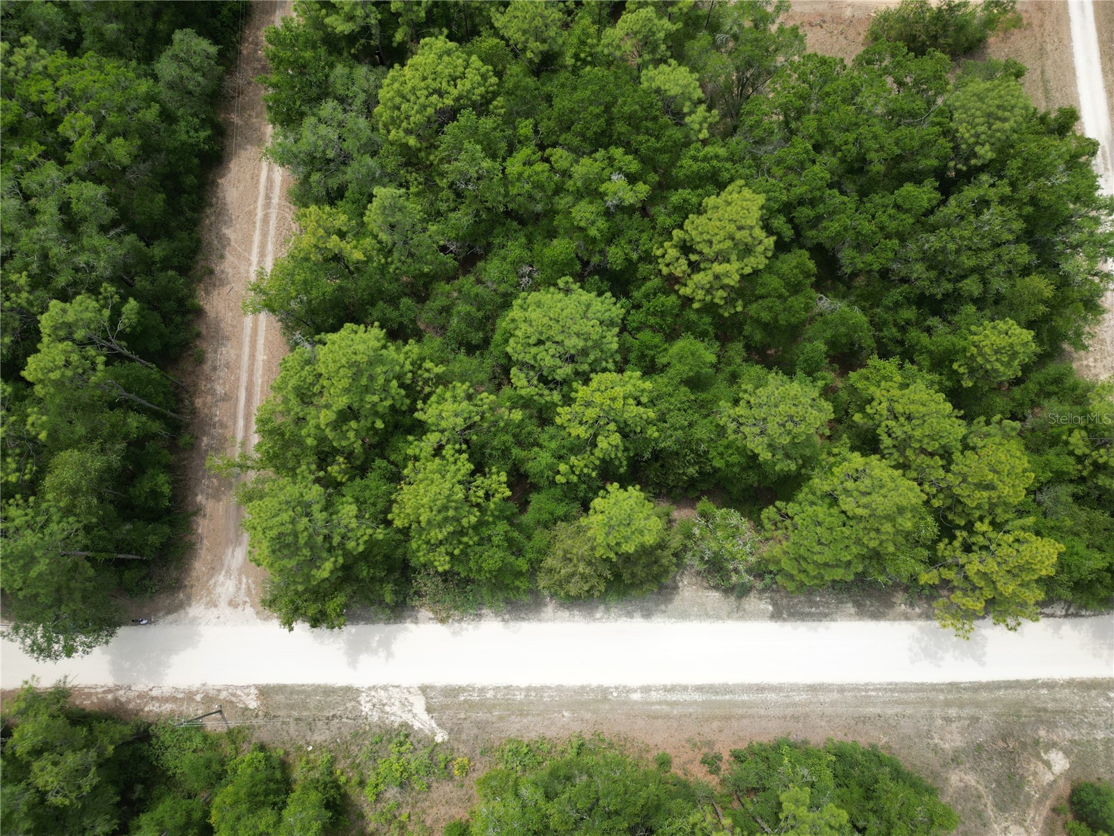 Tbd Sw 31st Pl Ocala FL 34481 OM724534 image6