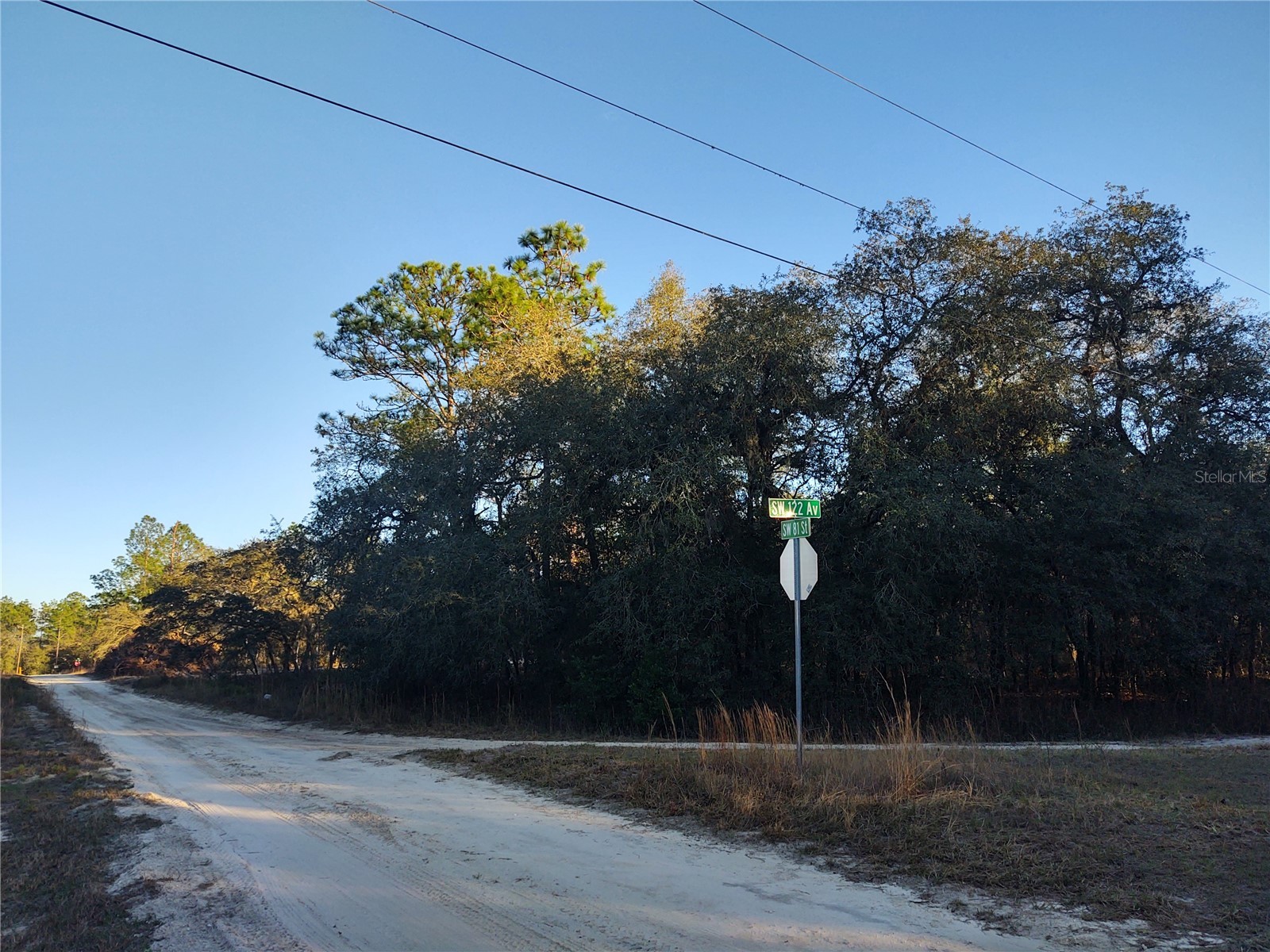 Tbd Sw 81st Street SW Dunnellon FL 34432 OM724343 image1