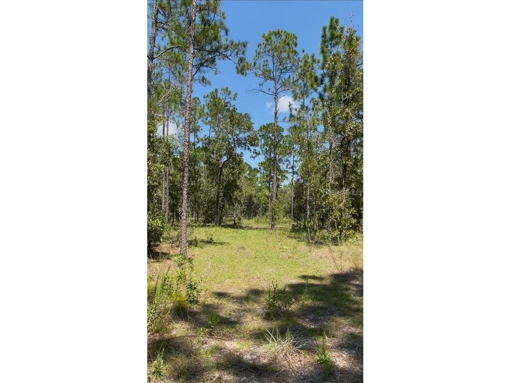 Tbd Sw Obee Ridge Rd Dunnellon FL 34431 OM689598 image1