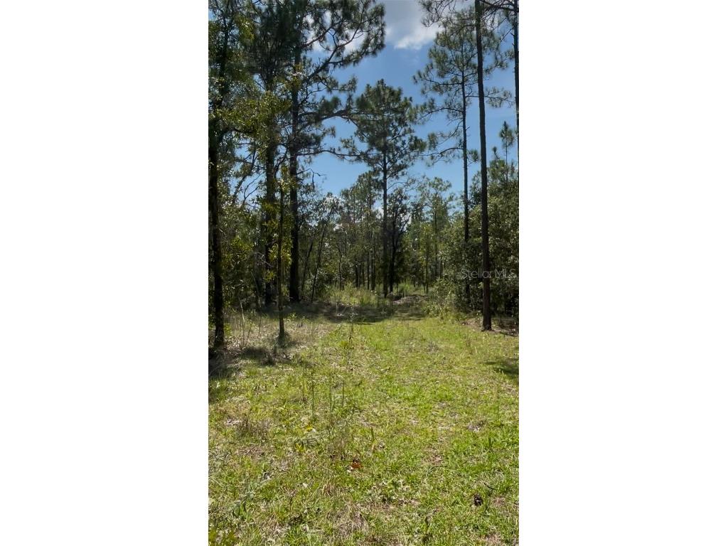 Tbd Sw Obee Ridge Rd Dunnellon FL 34431 OM689598 image10