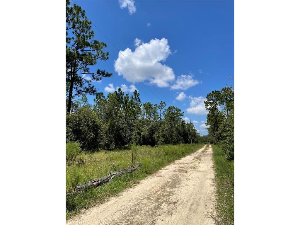 Tbd Sw Obee Ridge Rd Dunnellon FL 34431 OM689598 image2