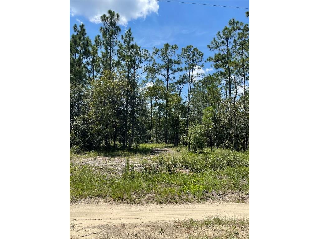 Tbd Sw Obee Ridge Rd Dunnellon FL 34431 OM689598 image3