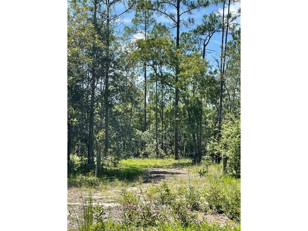 Tbd Sw Obee Ridge Rd Dunnellon FL 34431 OM689598 image4