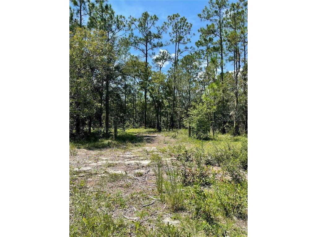 Tbd Sw Obee Ridge Rd Dunnellon FL 34431 OM689598 image5