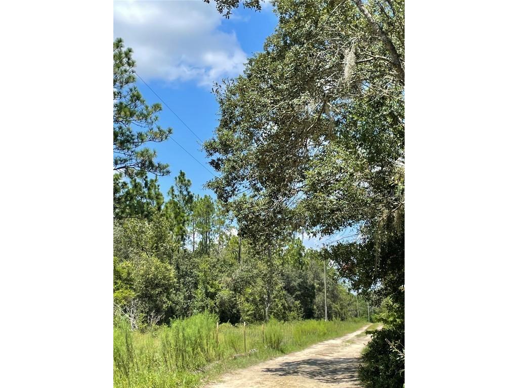 Tbd Sw Obee Ridge Rd Dunnellon FL 34431 OM689598 image6