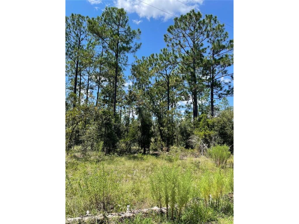 Tbd Sw Obee Ridge Rd Dunnellon FL 34431 OM689598 image7