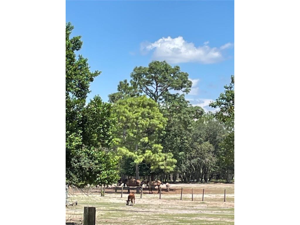 Tbd Sw Obee Ridge Rd Dunnellon FL 34431 OM689598 image8