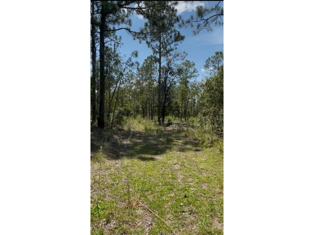 Tbd Sw Obee Ridge Rd Dunnellon FL 34431 OM689598 image9