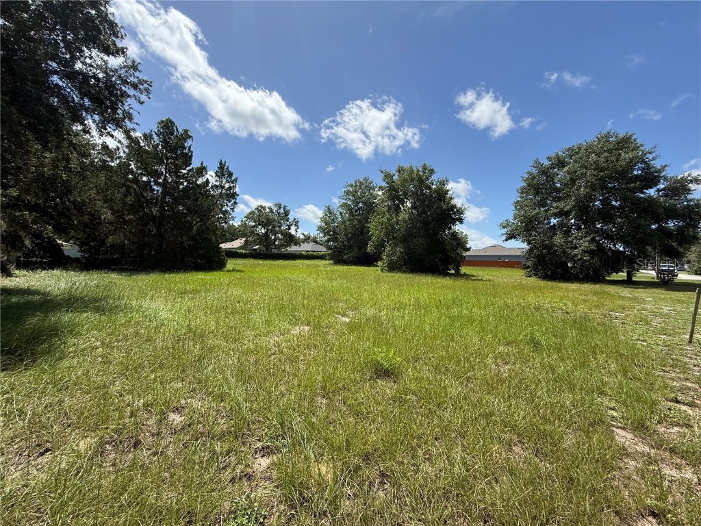 **TBD** Tarpon Avenue Umatilla FL 32784 G5099618 image1
