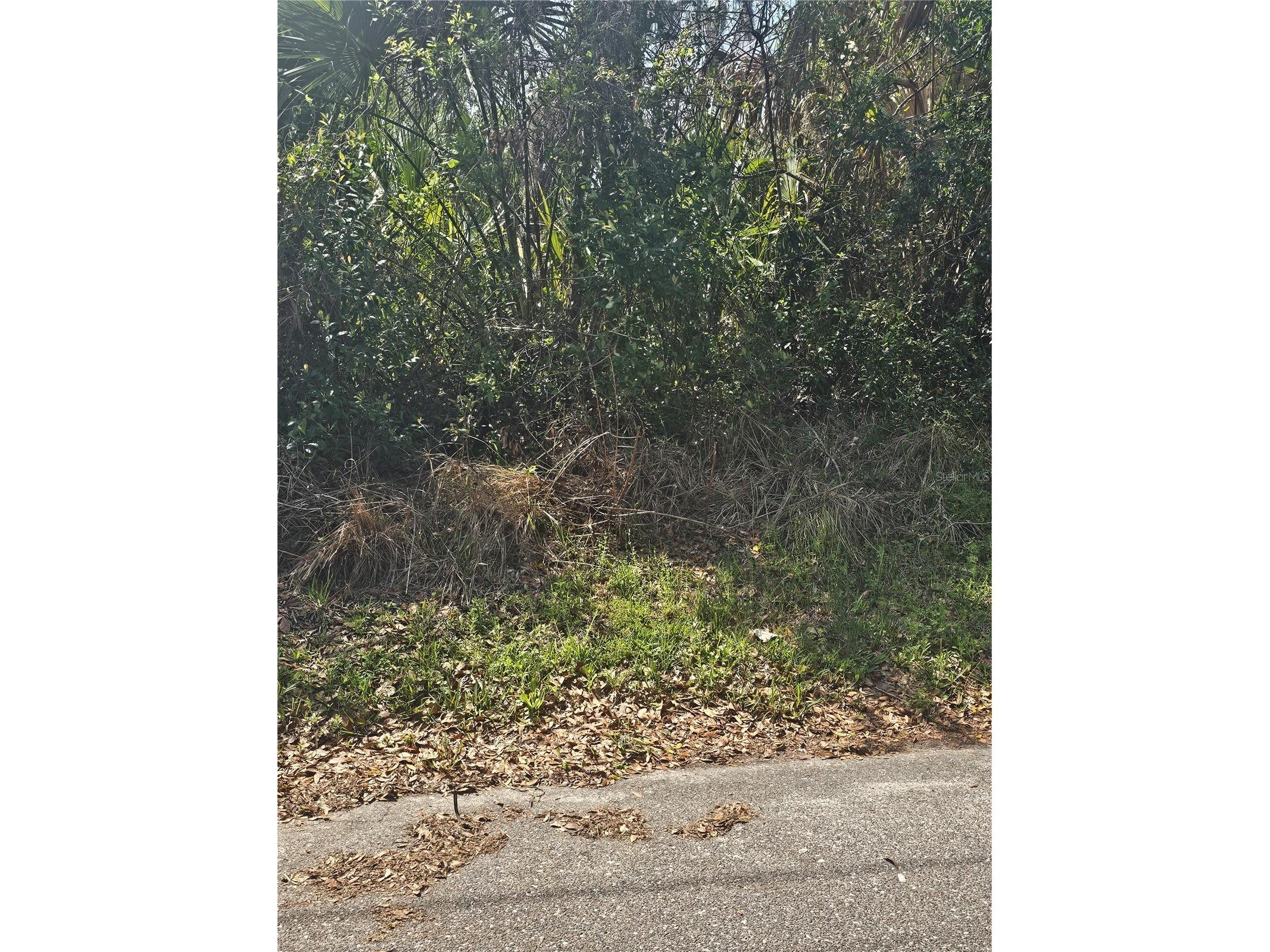 Tbd Unassigned Lake City FL 32024 TB8487231 image1