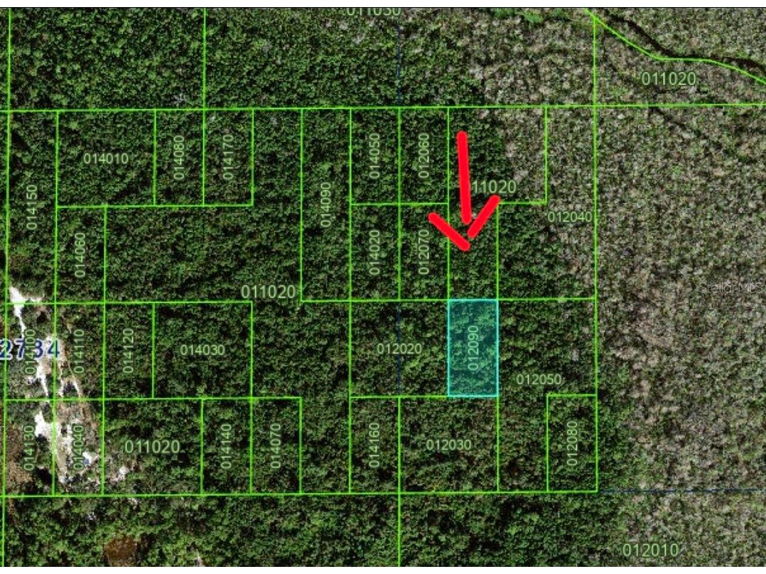 Tbd Unincorporated Poinciana FL 34759 S5144998 image2