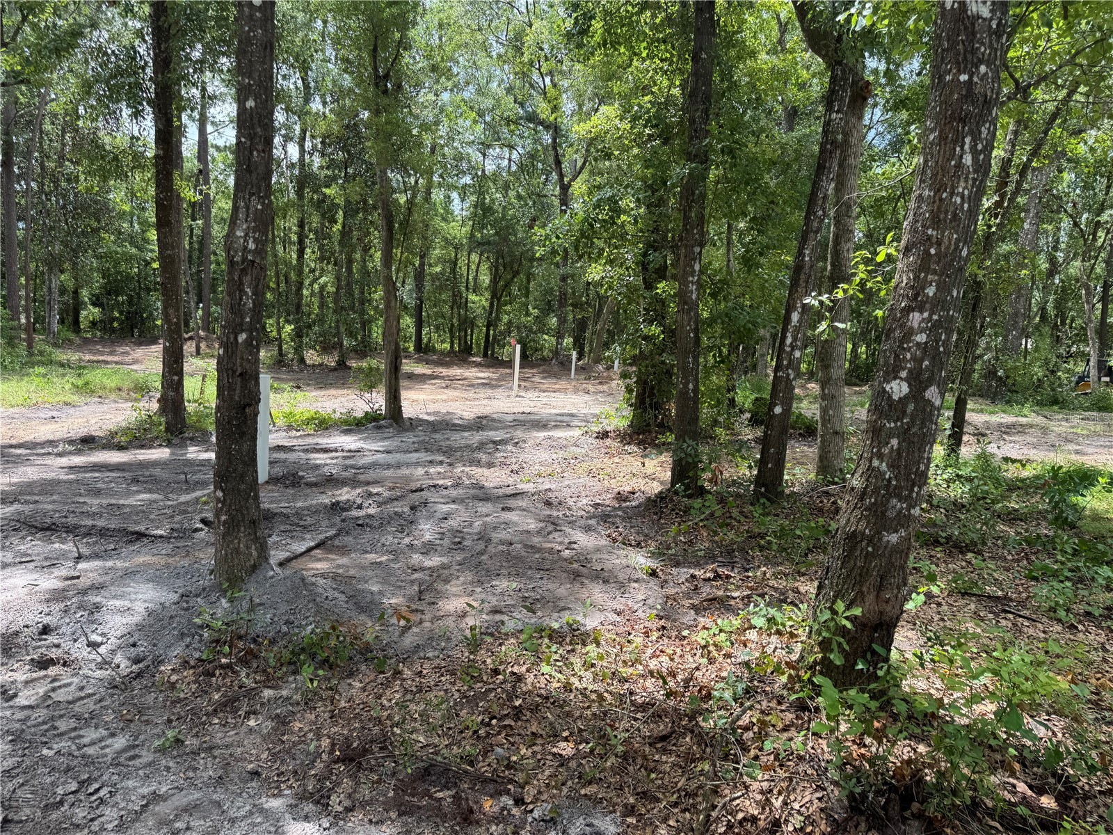 Tbd Waldo FL 32694 GC541046 image14