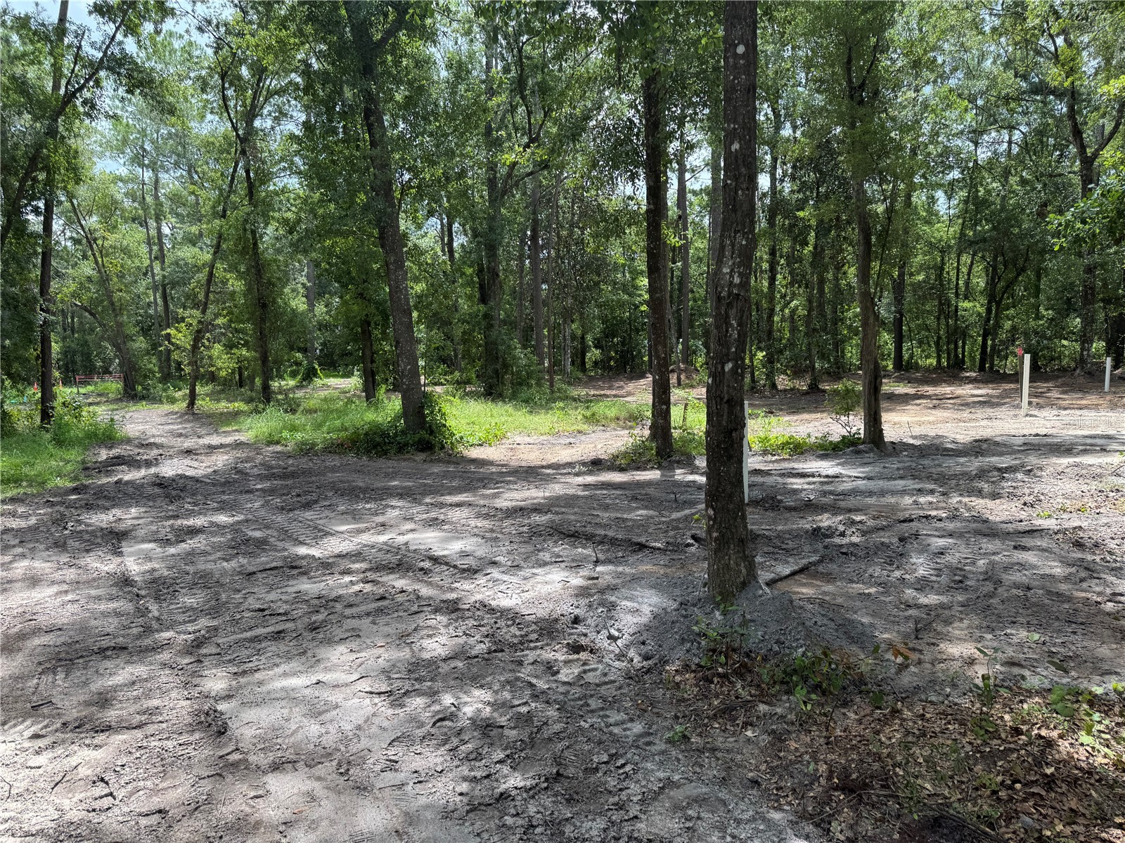 Tbd Waldo FL 32694 GC541046 image15