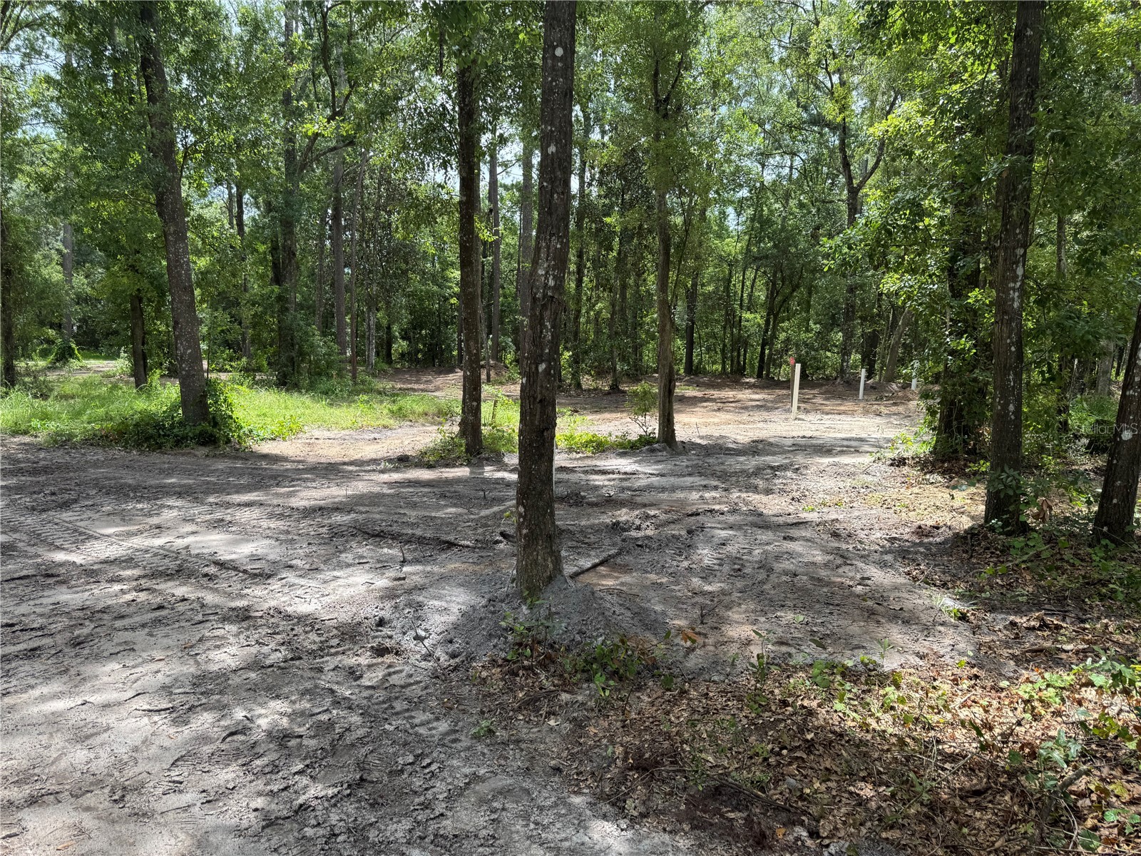 Tbd Waldo FL 32694 GC541046 image7