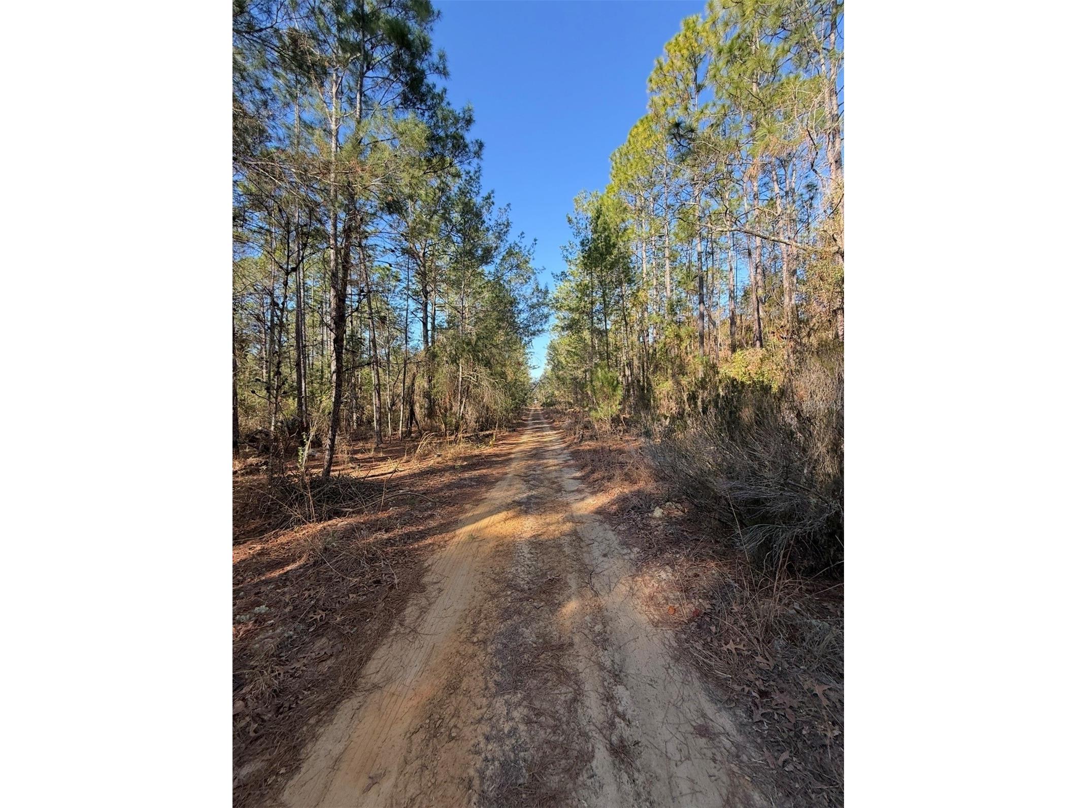 Tbt 5th Way Interlachen FL 32148 OM722356 image4