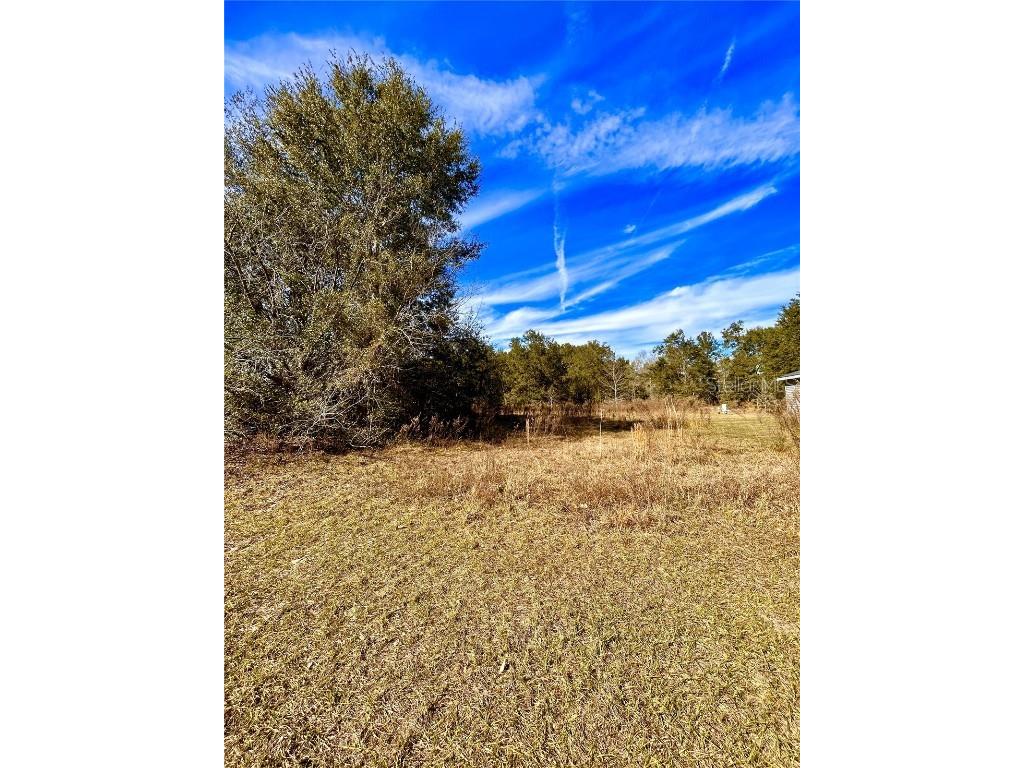 Tbt Juniper Drive Ocala FL 34480 R4907569 image1