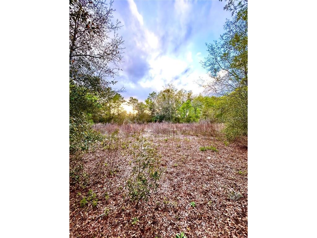Tbt Sw 140th Ave Ocala FL 34481 R4907704 image1